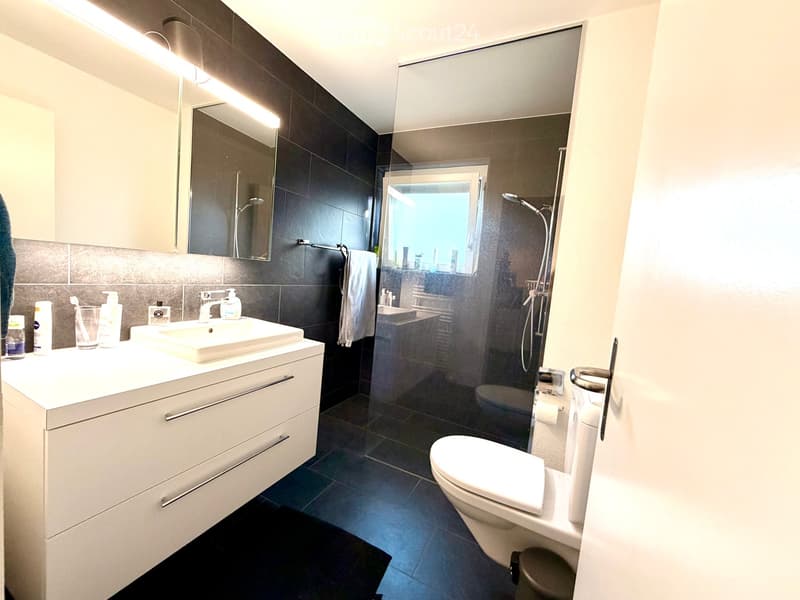 Modern bathroom with white sink, dark tiles, large mirror, and glass-enclosed shower area.