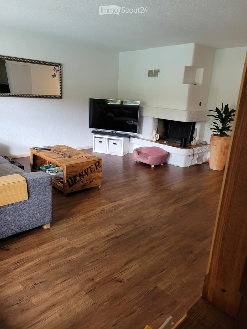 Modern living room with hardwood floors, fireplace, grey sofa, coffee table, TV, and decorative items.