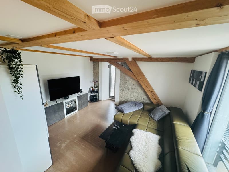 Living room with exposed wooden beams, a green leather sofa, a coffee table, a television on a stand, and a small plant on the wall.