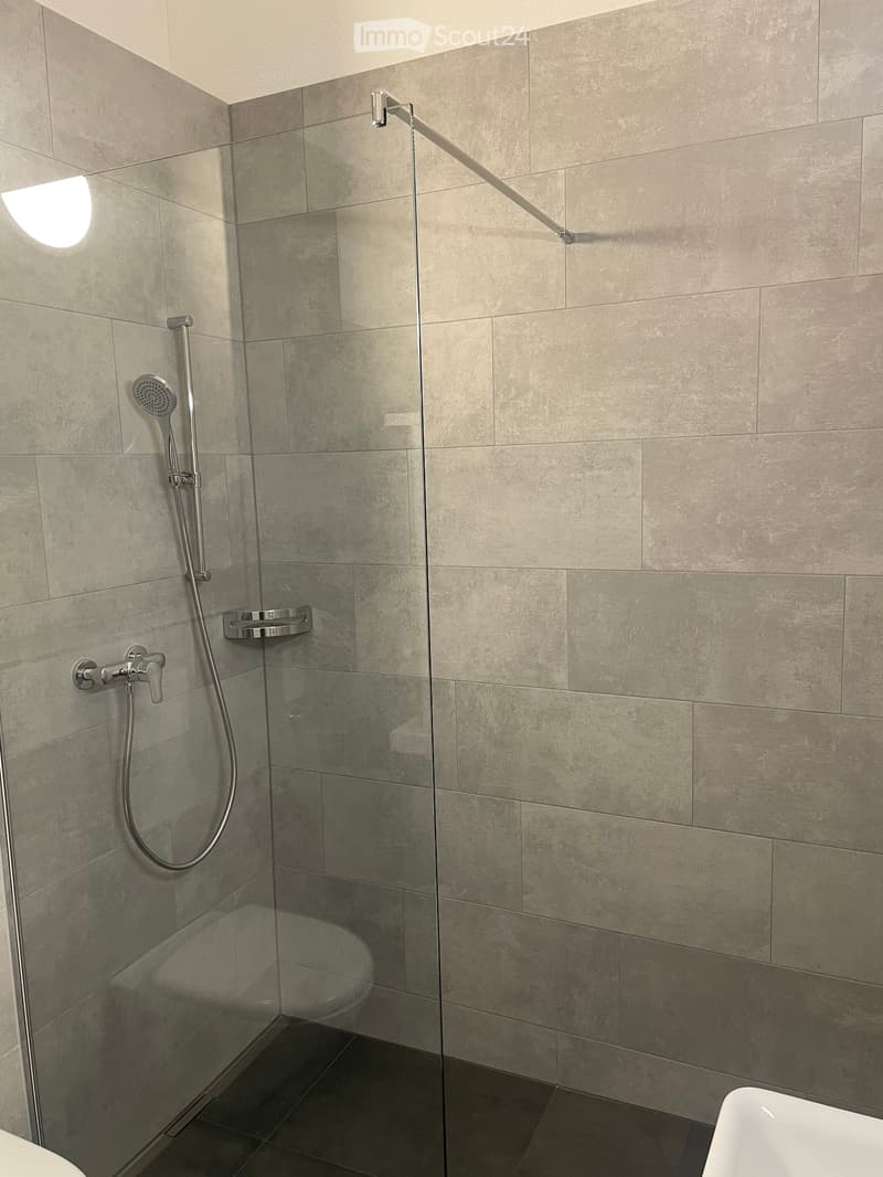 Modern bathroom with grey tiled walls, glass shower enclosure, chrome shower fixtures, and a white sink.