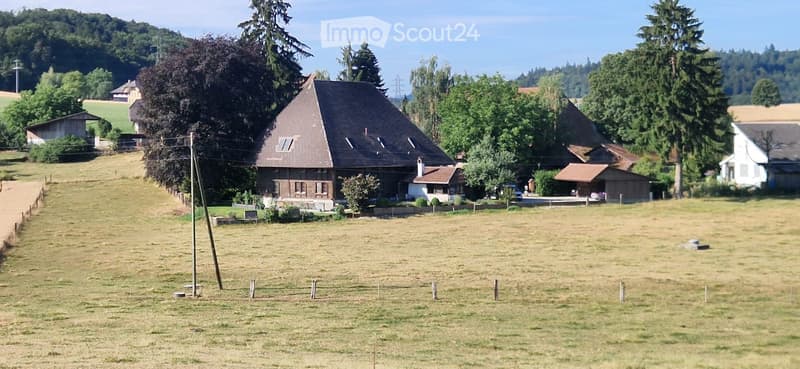 A traditional wooden house with a dark roof and white trim, surrounded by trees and a grassy field.