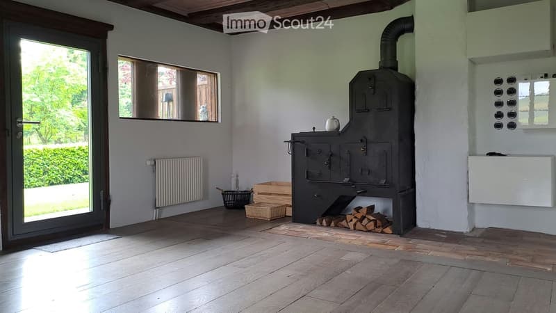 Bright room with wooden flooring, white walls, a wood stove, radiator, and a basket with wood logs.