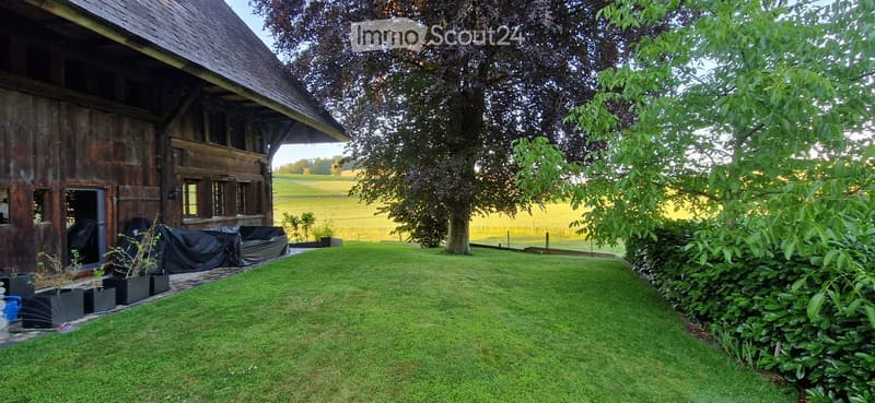 Lush green lawn with a large tree, wooden barn in the background, and neatly arranged potted plants near the barn.