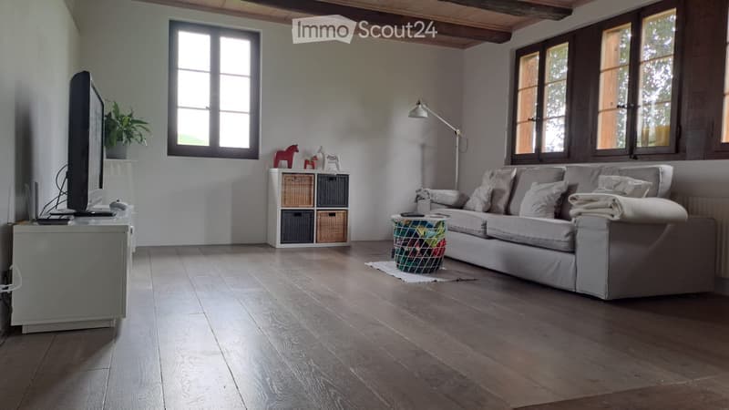 Modern living room with hardwood flooring, large windows, grey sofa, coffee table, floor lamp, TV stand, storage unit, toy horse, basket, and plant.