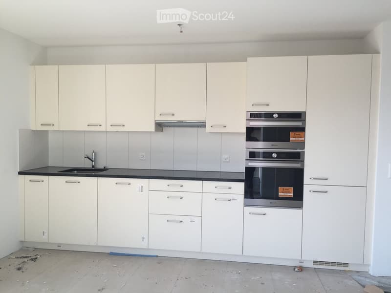 Modern kitchen with white cabinets, black countertop, stainless steel sink, and built-in oven.