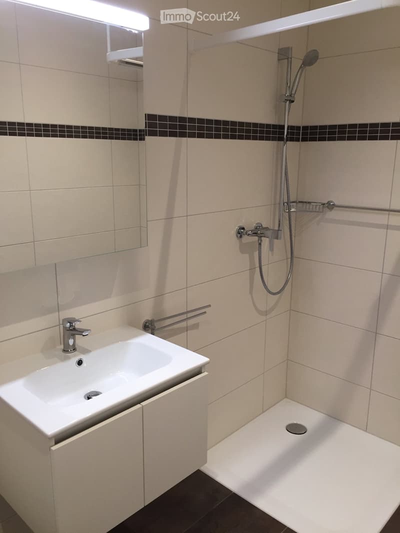Modern bathroom with a white sink, chrome faucet, showerhead, and built-in mirror. Beige tiles with black accents.