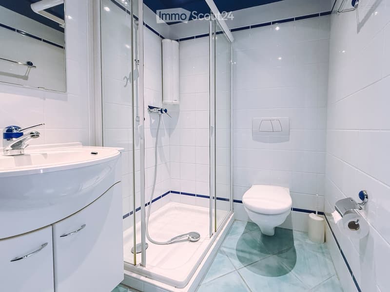 Modern bathroom with white tiles, a glass-enclosed shower, a toilet, a sink with a mirror, and a toilet paper holder.