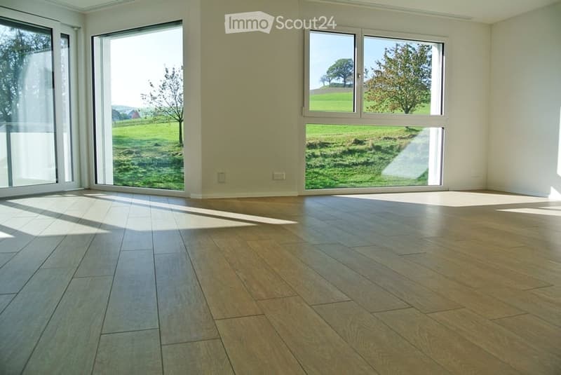 Bright, unfurnished room with large windows and wooden flooring, offering a view of a green landscape.