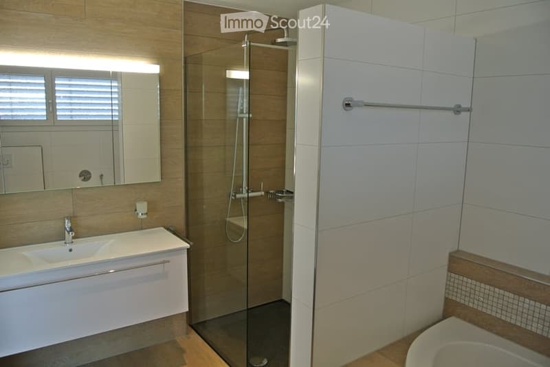 Modern bathroom with a white sink, mirror, glass-enclosed shower, and towel rack.
