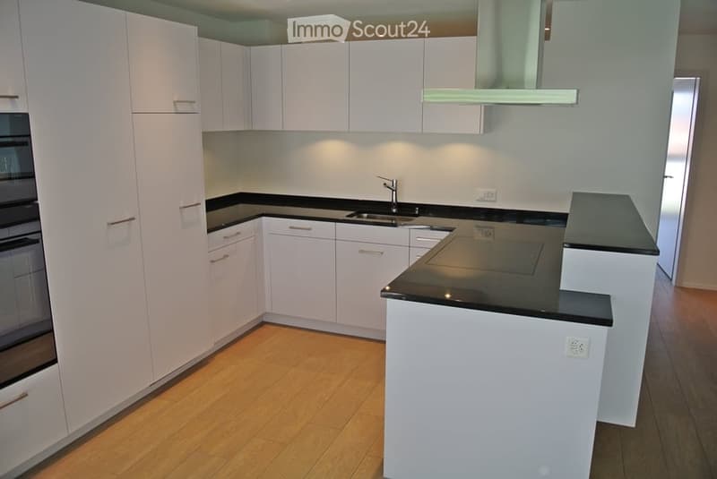 Modern kitchen with white cabinets, black countertops, wooden flooring, and built-in appliances including an oven and range hood.