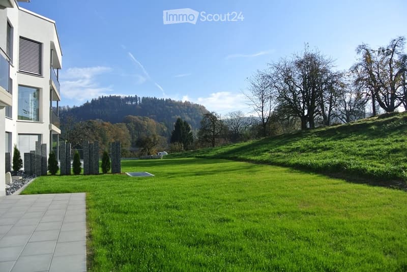 Well-maintained lawn in front of a modern white house, surrounded by trees and a clear blue sky.