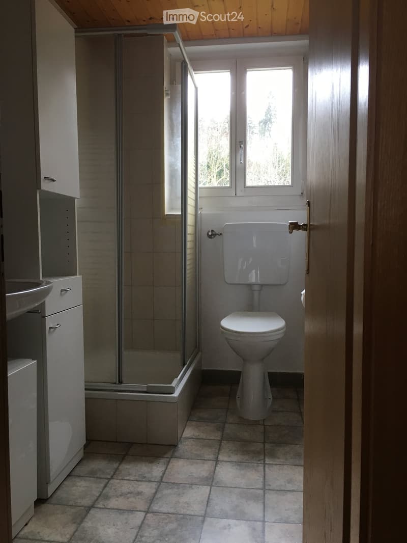 Bathroom with tiled floor, toilet, sink, and shower area with glass enclosure. Natural light from two windows.