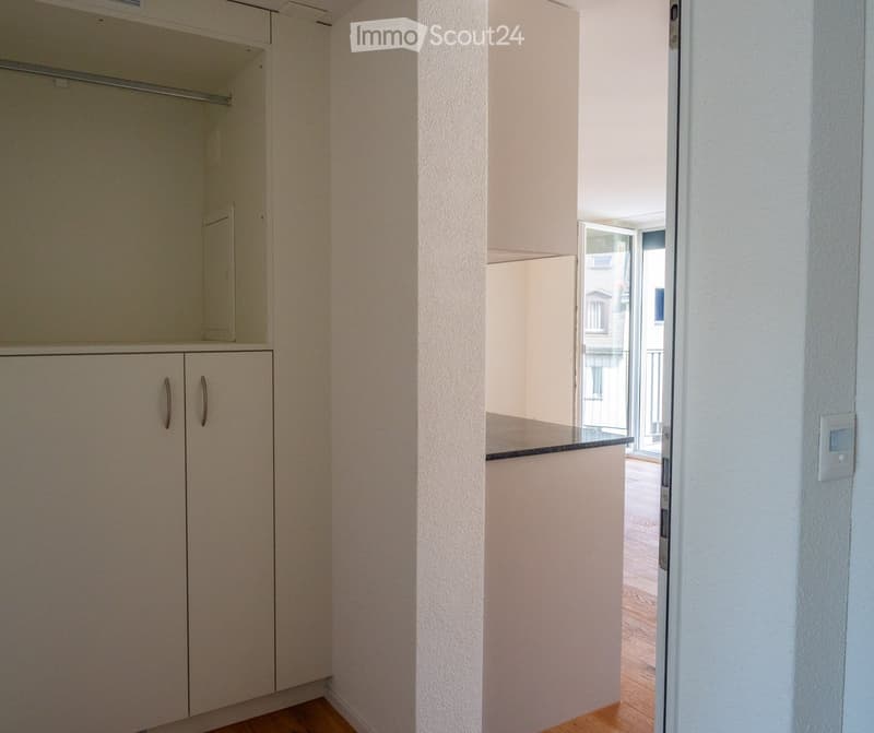 Empty hallway with light-colored walls, wooden flooring, and built-in storage cabinets. The hallway leads to an open area with a glass door to the outside.