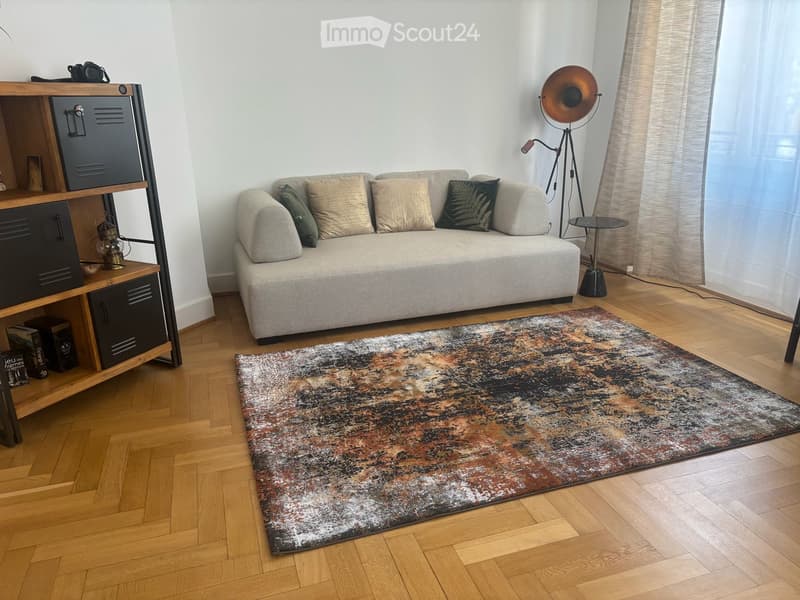 Charmant appartement de 4.5 pièces rénové – Genève, Aubépine (3)