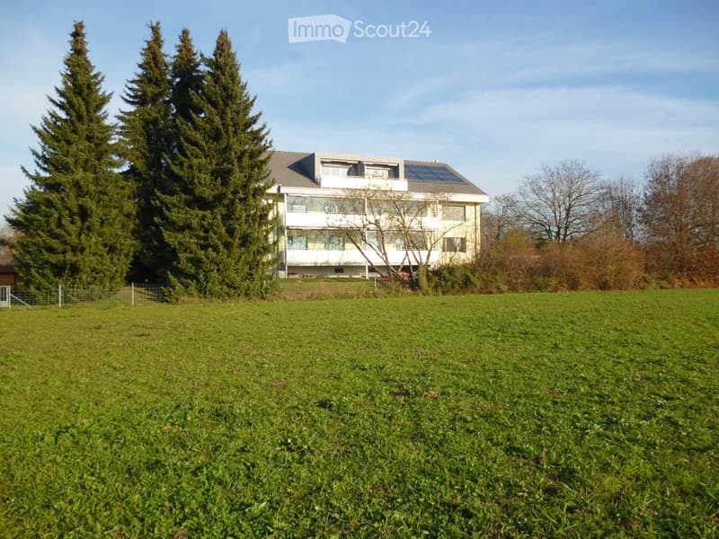 Modern two-story house with large windows and solar panels on the roof, surrounded by tall evergreen trees and a grassy lawn.