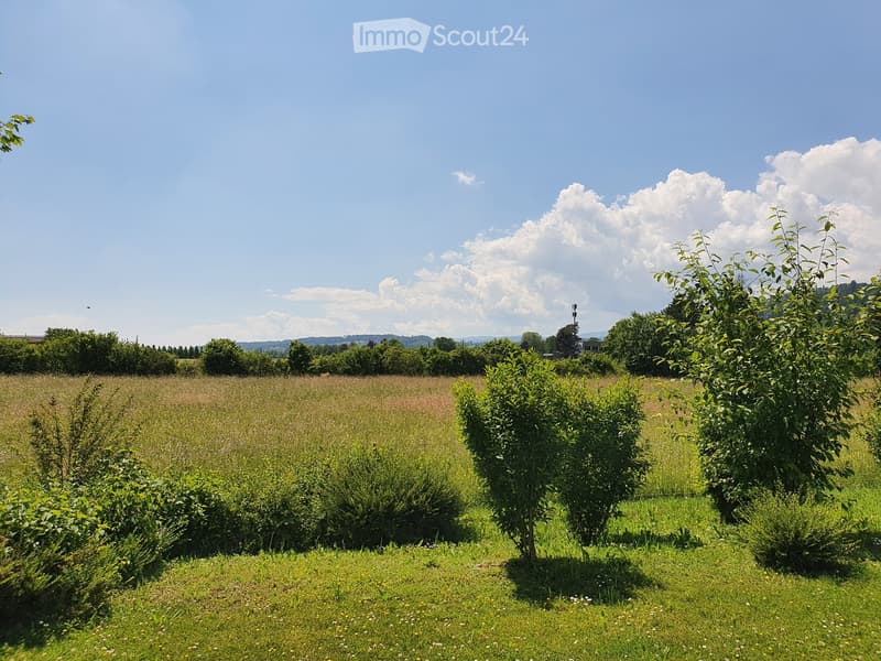 A lush garden with neatly trimmed bushes, small trees, and a grassy lawn, surrounded by a field and distant trees under a clear blue sky.