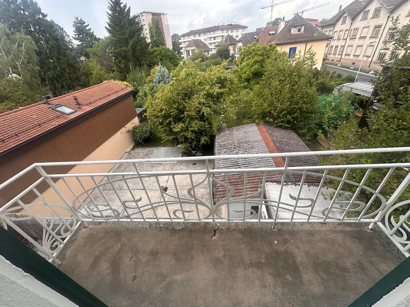 Balcony with metal railing overlooking a rooftop area, surrounded by trees and neighboring buildings.