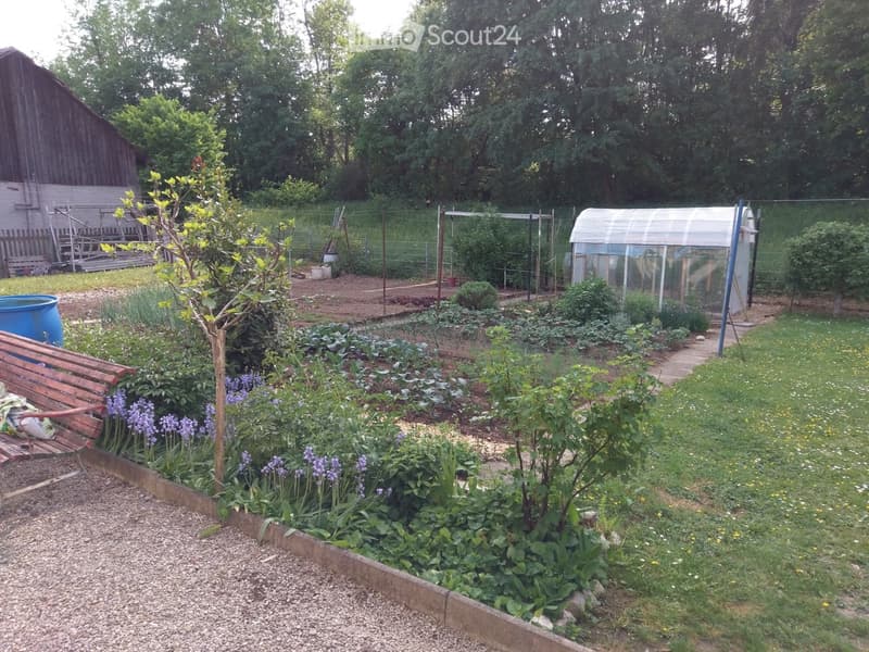 Garten / Freisitz 1