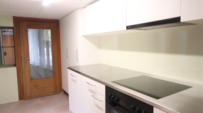 Modern kitchen with white cabinets, a light grey countertop, an induction stove, and an oven. A wooden door with glass panels leads to an outdoor area.
