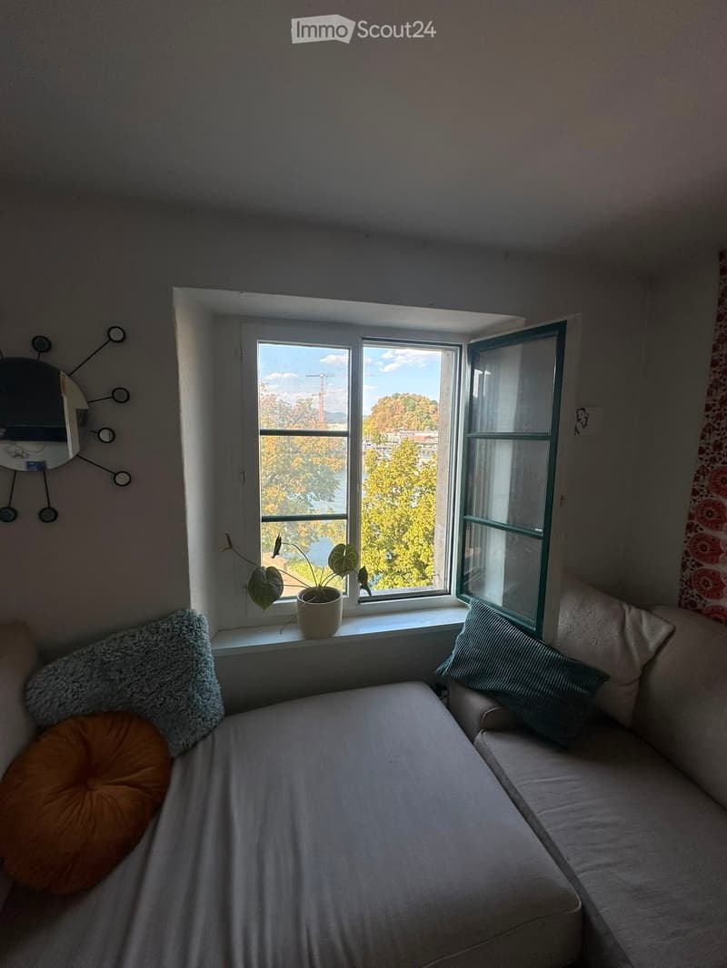 Cozy living space with a sofa, pillows, a mirror on the wall, and a potted plant on the windowsill, overlooking a scenic view.