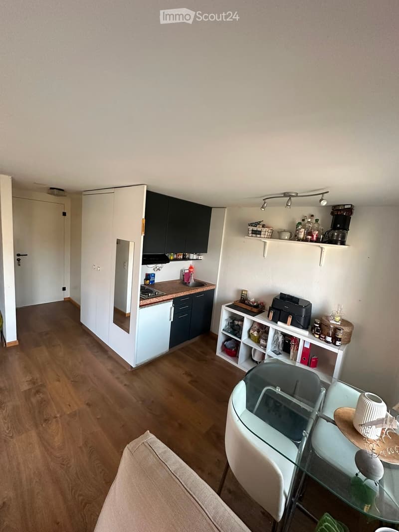 A modern, well-lit kitchen and living area with wooden flooring, white and dark blue cabinets, a glass dining table with chairs, a sofa, and various kitchen appliances and items on shelves.