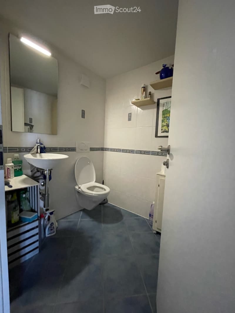 Modern bathroom with a toilet, sink, mirror, and shelves holding cleaning supplies and decorative items.