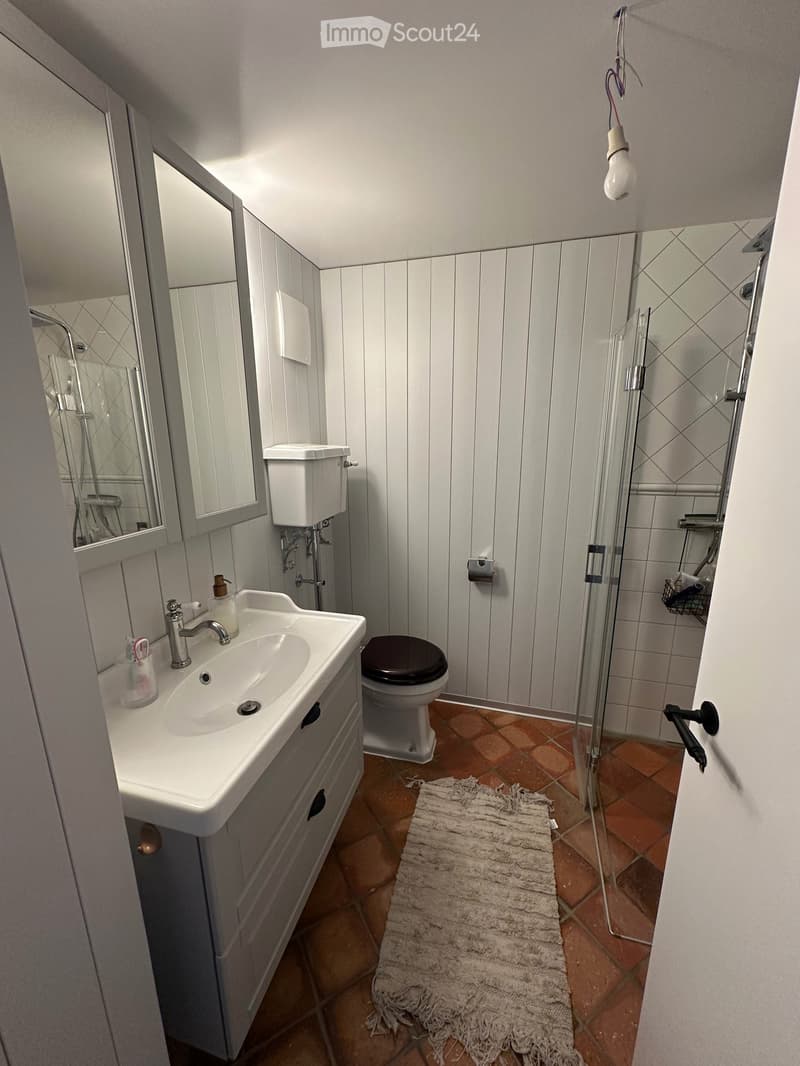 Charmant appartement rénové de 2,5 pièces à Estavayer-le-Lac (3)