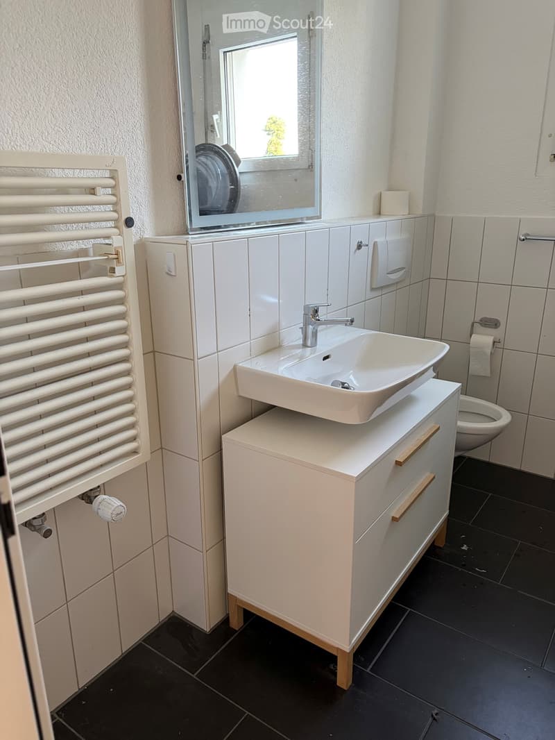 Modern bathroom with white tiles, a sink with a modern faucet, a mirrored cabinet, a radiator, and a toilet. The floor is black tiled.