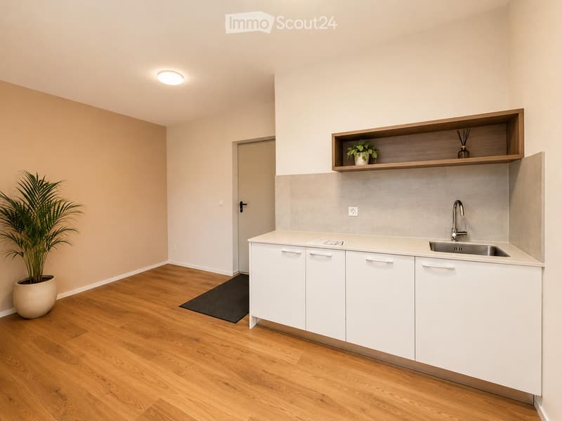 Modern kitchen with white cabinets, a sink, and a wooden shelf with a potted plant. The floor is wooden, and the walls are light-colored.