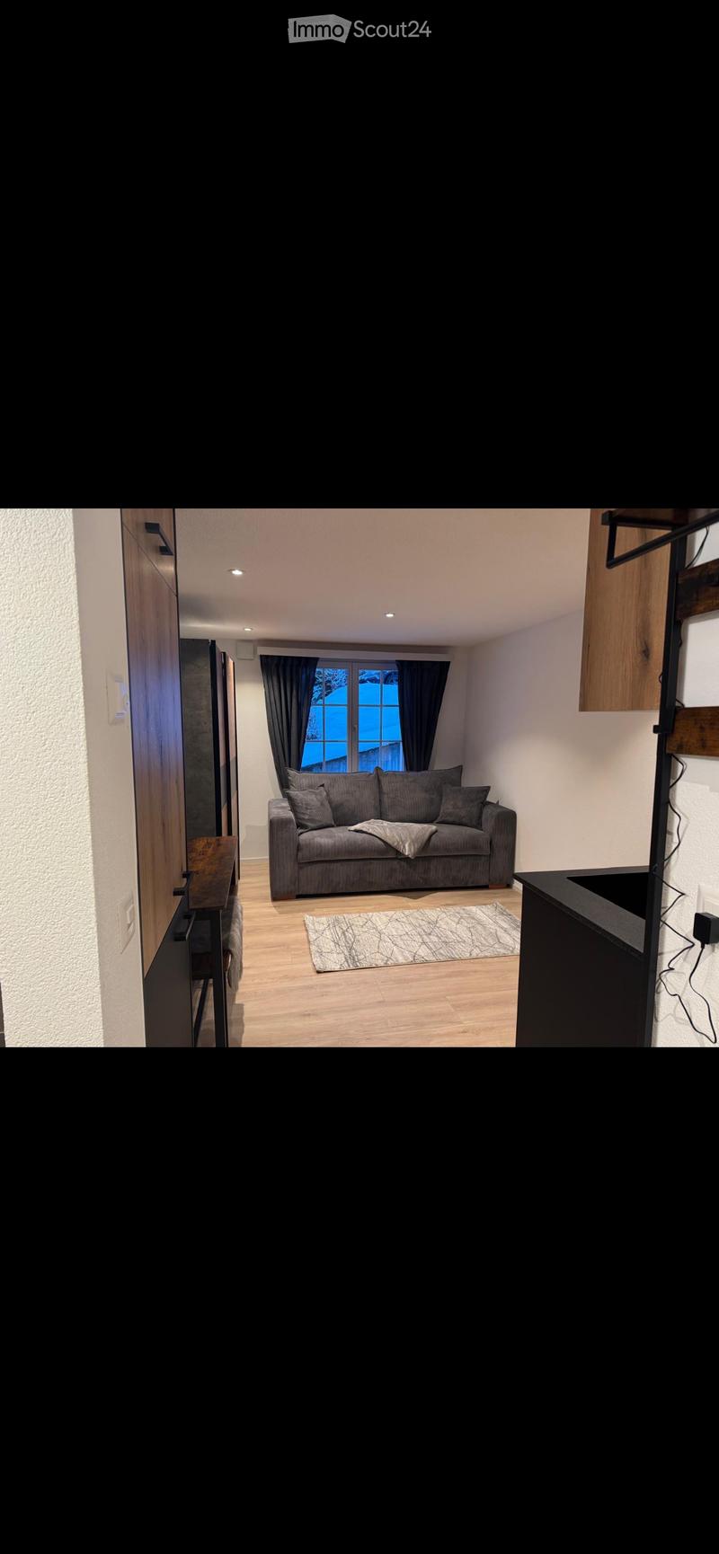Sofa, pillow, carpet, window with curtains, wooden cabinet, power outlet