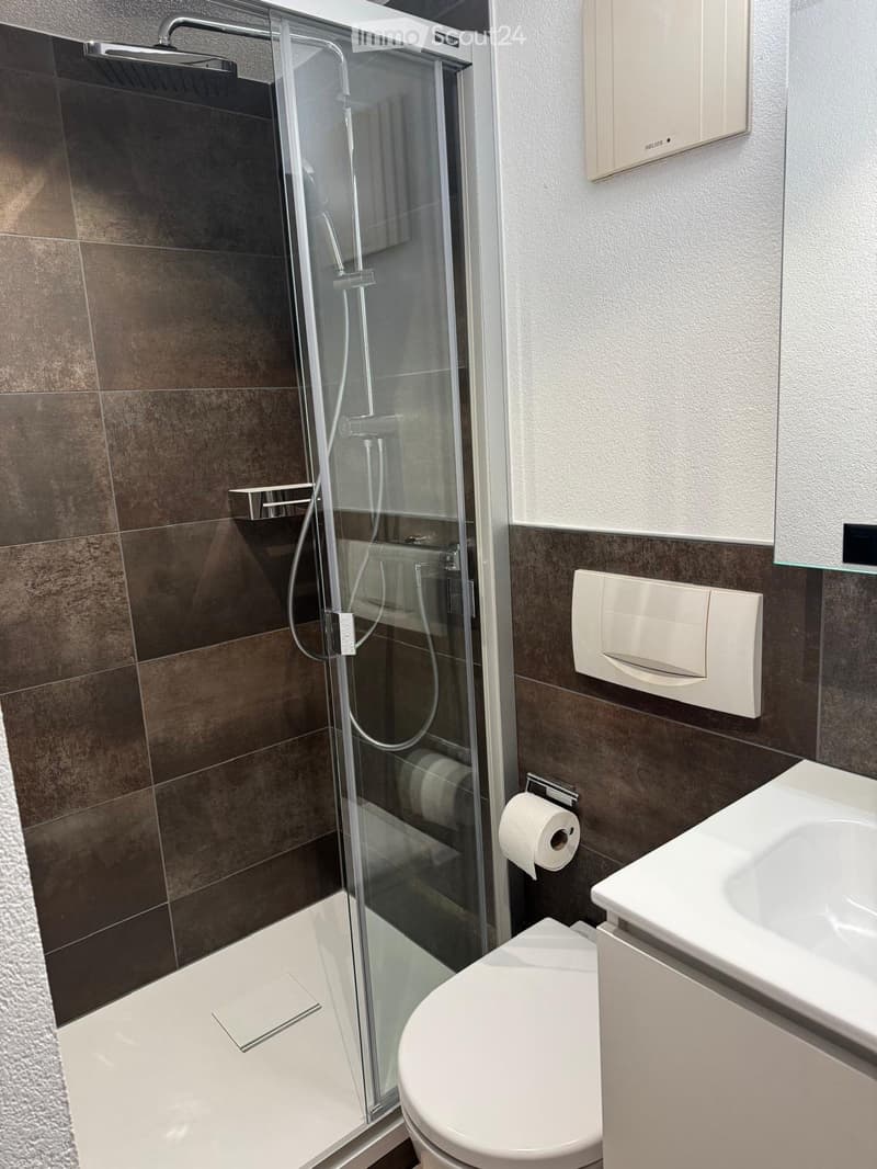 Modern bathroom with a glass-enclosed shower, toilet, sink, and built-in storage. Features dark brown tiles and white fixtures.