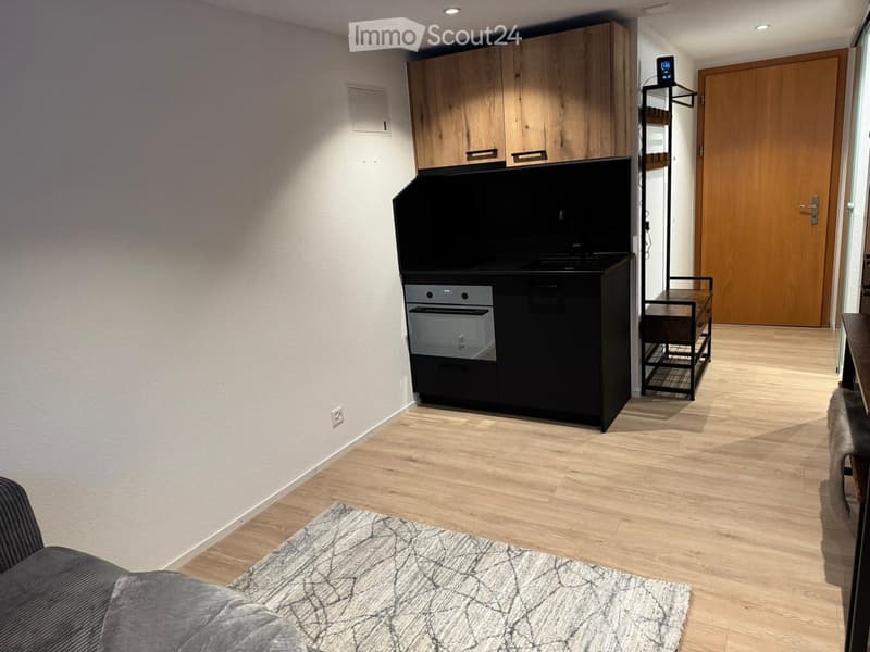 Modern, compact living space with a sofa, a small kitchen area featuring a cabinet, oven, microwave, and refrigerator, and a shelf unit near the door.