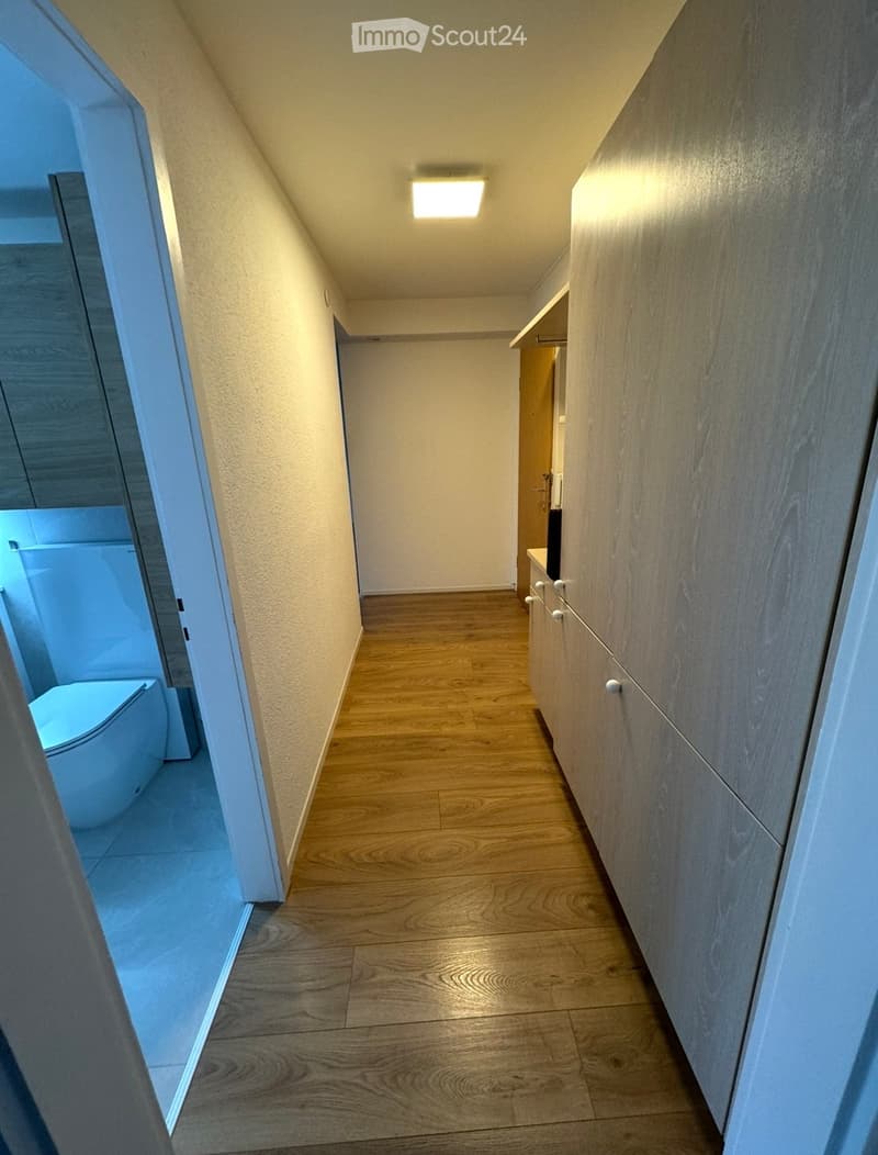 A narrow hallway with wooden flooring, light-colored walls, and built-in cabinets on one side. A recessed ceiling light illuminates the space, and an open door leads to a bathroom with a visible toilet.