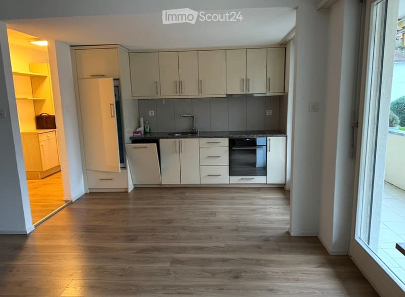Modern kitchen with light-colored cabinets, stainless steel appliances, and wooden flooring.