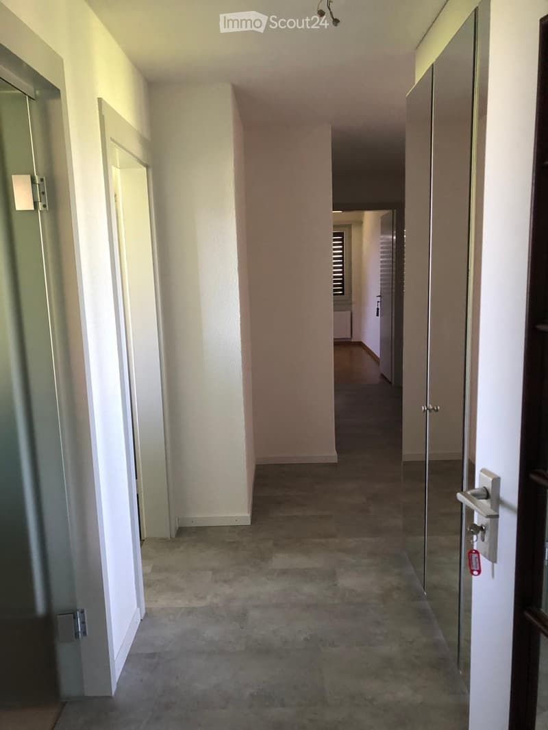 Empty hallway with beige walls, carpeted floor, and several doors leading to other rooms.