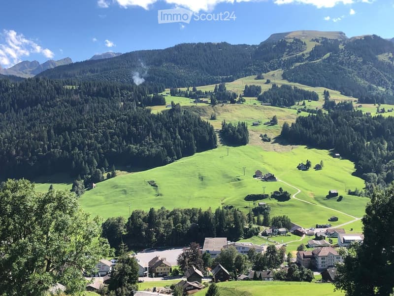 A panoramic view of a lush green valley surrounded by dense forests and mountains, with scattered houses and a winding road.