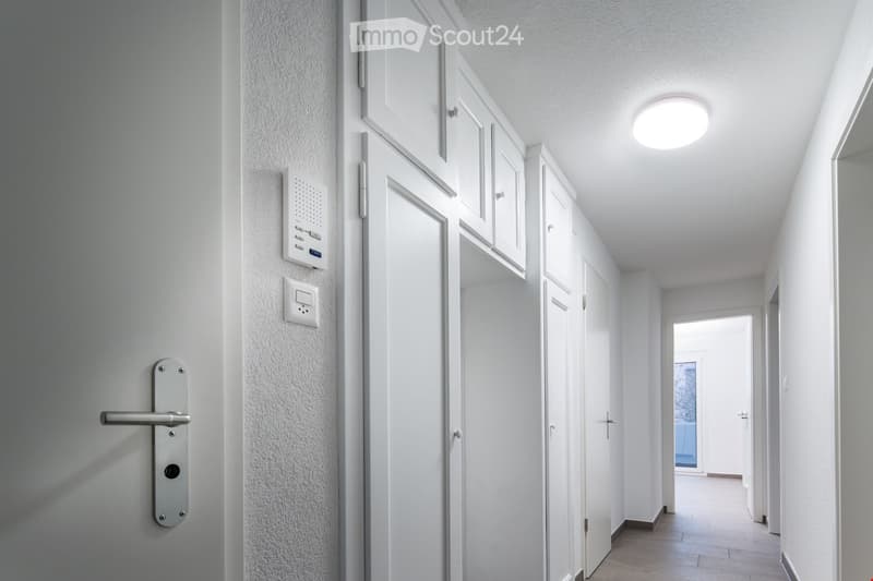 Empty hallway with closed doors, light fixtures, electric outlet and switch, modern interior design