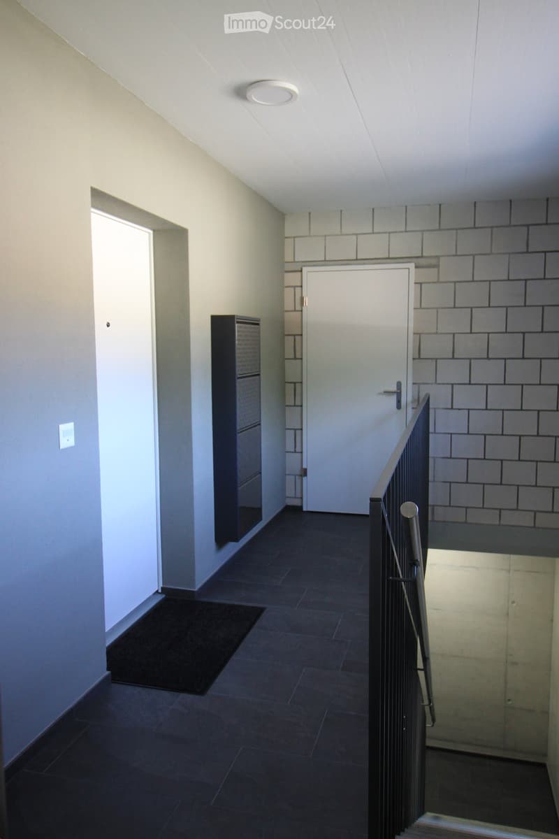 Modern hallway with dark tiled flooring, white walls, a black rug, a small black cabinet, and a white door leading to another room.