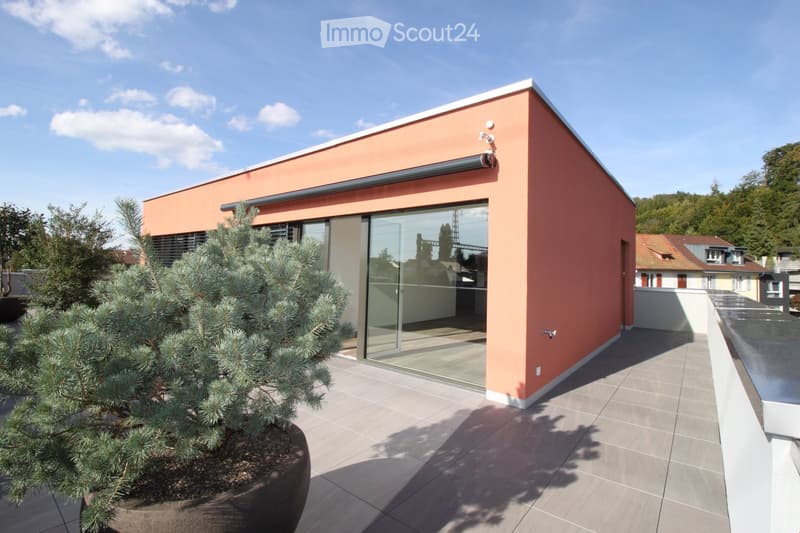 A modern, minimalist outdoor area with a tiled patio, a potted evergreen tree, and a contemporary building with orange walls and large glass windows.