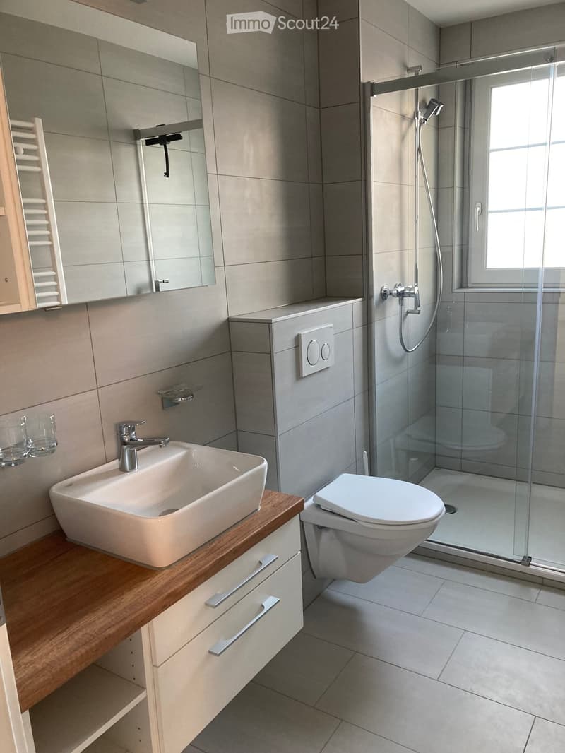 Modern bathroom with a white sink, chrome faucet, toilet, glass-enclosed shower, and a large mirror above the sink.