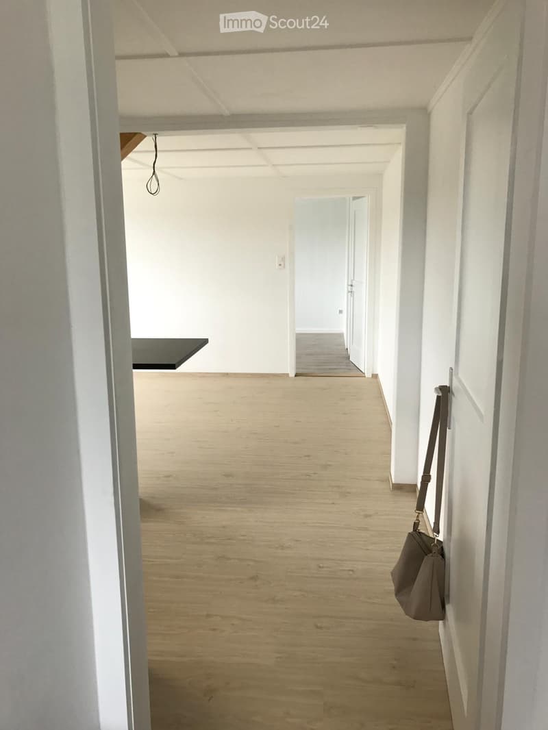 Empty hallway with light wooden flooring, white walls, and a hanging bag on the right side.