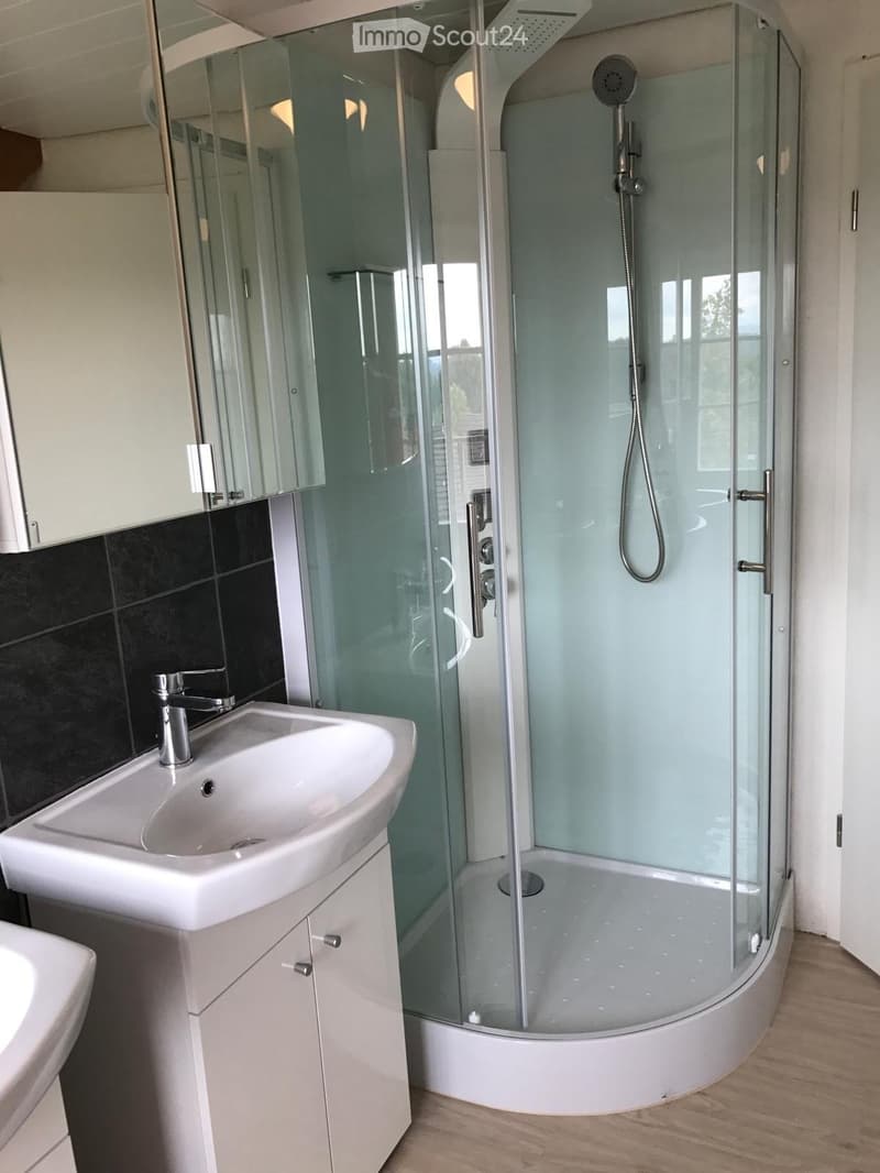 Modern bathroom with a white sink, chrome faucet, large mirror, and a glass-enclosed shower with a handheld showerhead.