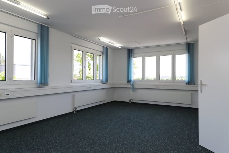 Empty room with white walls, large windows with blue curtains, and built-in radiators. The floor is covered with dark carpeting, and the ceiling has recessed lighting.
