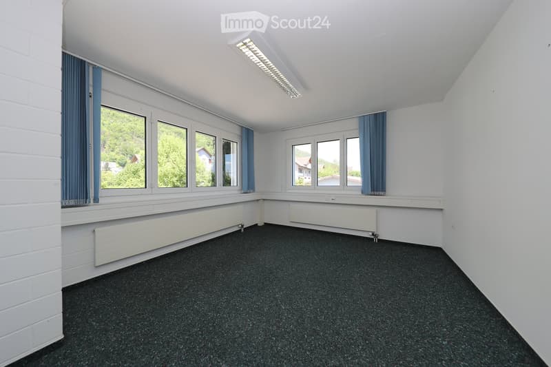 Empty room with white walls, dark carpeted floor, large windows with blue curtains, and built-in radiators.