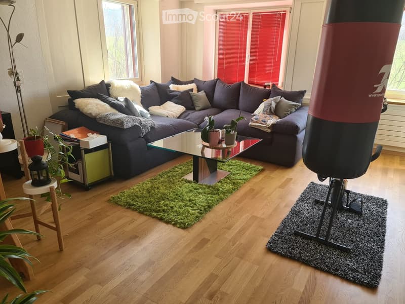 Modern living room with a dark blue sectional sofa, glass coffee table, floor lamp, side table with potted plants, and a punching bag in the corner.