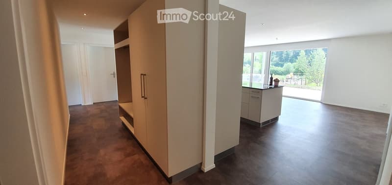 Modern hallway with dark wooden flooring, white walls, built-in cabinet, and a small kitchen area with a countertop and a few decorative items visible through the glass doors.