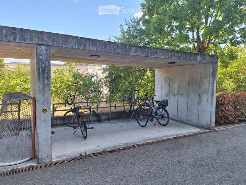 A covered outdoor area with several bicycles parked under a concrete shelter, surrounded by greenery and trees.