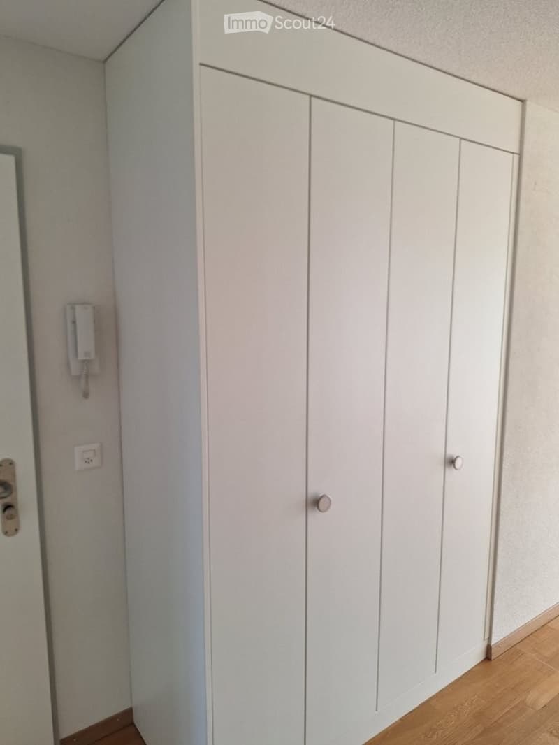 Empty room with light-colored walls, wooden flooring, and a large white wardrobe with double doors.