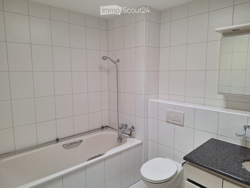 Clean bathroom with white tiled walls, a bathtub with a handheld shower, a toilet, a countertop with a mirror, and a shelf for storage.