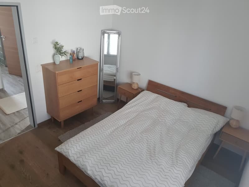 Cozy bedroom with a wooden bed, nightstand, lamp, large mirror, and a wooden dresser with a vase and plant on top.